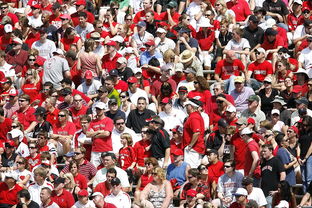 九游官网入口-体育赛事观众行为特征与管理对策，观众对体育赛事的意义