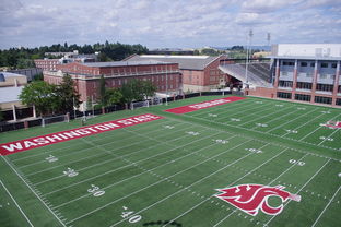 九游娱乐下载-篮球专项体能训练监测技术及应用实践，篮球项目的体能训练方法